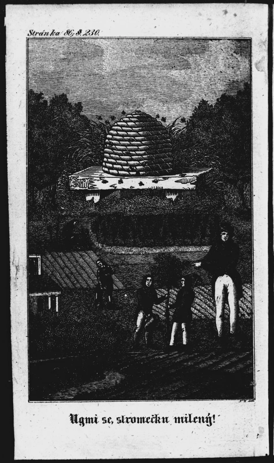 „Ujmi se, stromečku milený!“ Obrázek ze Zahradníčku (1849): děti sázejí stromek, vzadu slaměný úl